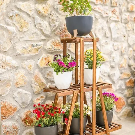 Lägenhet Aetherius Executive 5 Min To