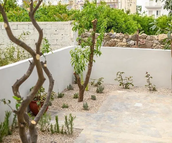 Aetherius Executive 5 Min To Kos